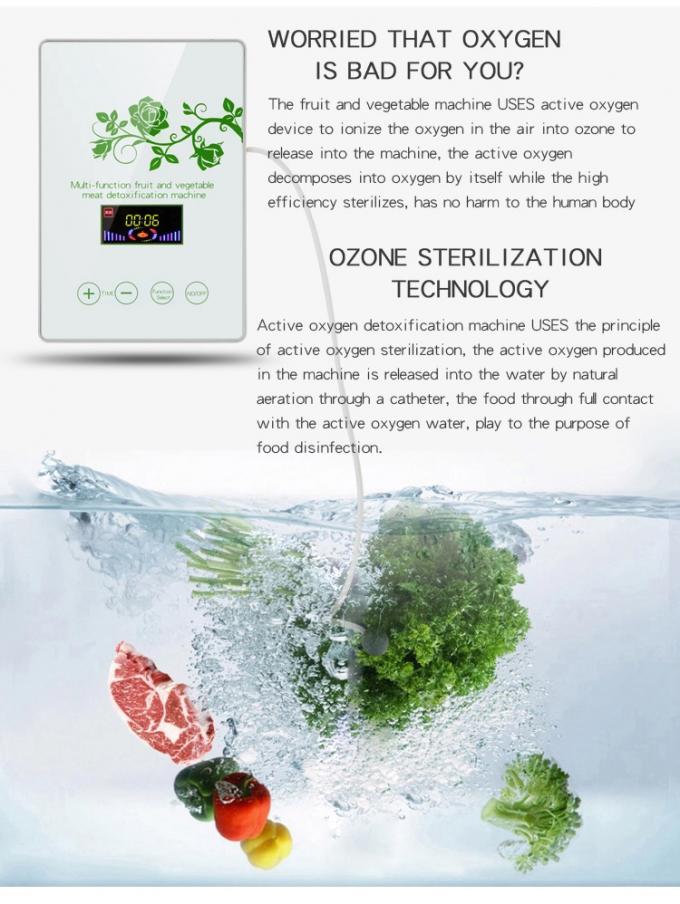 HOMEFISH 상업용 공기청정기 주방 사용 활성 산소 과일과 채소 살균기 400mg/h 2