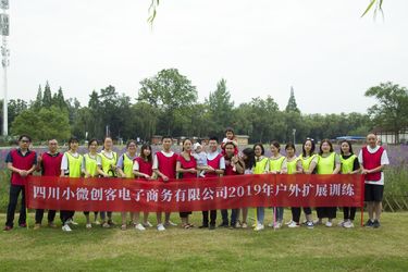 중국 Sichuan Small Minimally Invasive Passenger Ecommerce Ltd. 회사 프로필