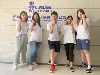 중국 Sichuan Small Minimally Invasive Passenger Ecommerce Ltd. 회사 프로필