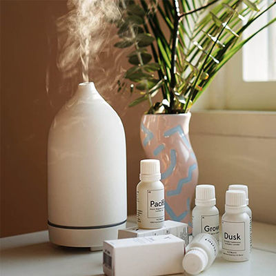 좋은 가격 홈피시 아로마테라피아 디퓨저 게어 5 컬러 디퓨저 100ml 세라믹 공기 에센셜 오일 디퓨저 온라인으로
