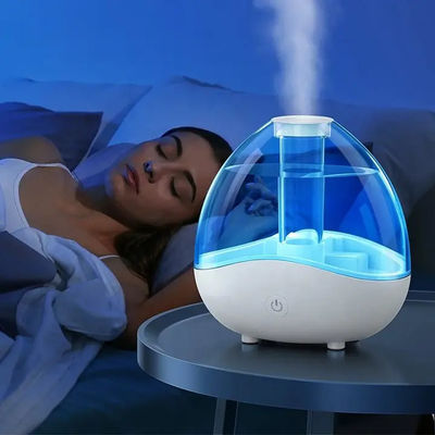좋은 가격 HOMEFISH 초음파 원자화 수습기 150mL/H-250mL/H 야간 빛과 함께 큰 안개 출력 온라인으로