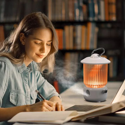 좋은 가격 HOMEFISH 탁상 배터리 작동 USB 공기 습기 260ml 온라인으로
